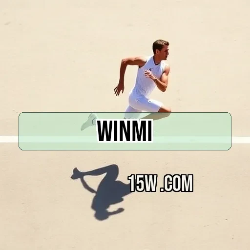 winmi.com Simulação